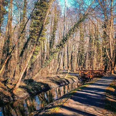 Lägenhetshotell ****heviz Springs