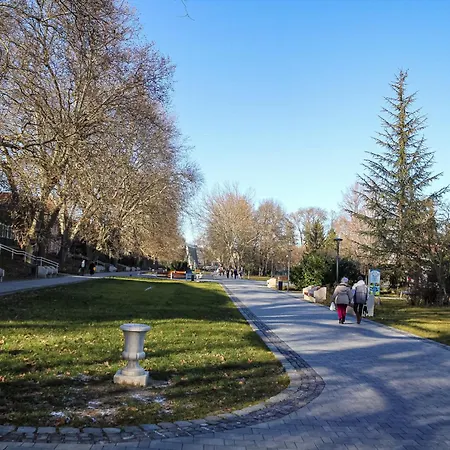 ****heviz Springs Lägenhetshotell 4*