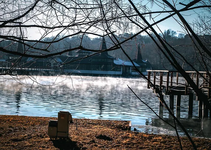 アパートホテル ****heviz Springs ヘーヴィーズ