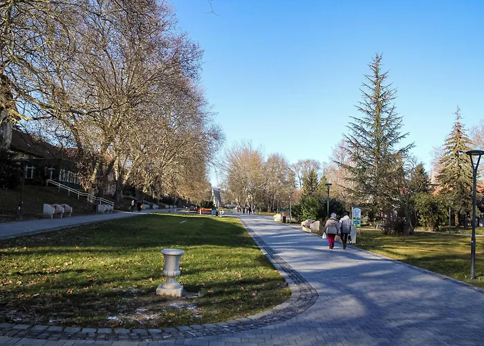 ****heviz Springs Appart hôtel 4*