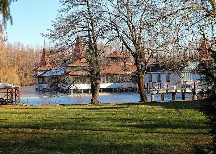 ****heviz Springs Appart hôtel 4*